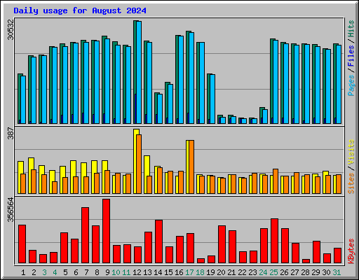 Daily usage for August 2024