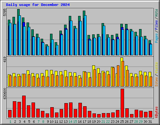 Daily usage for December 2024