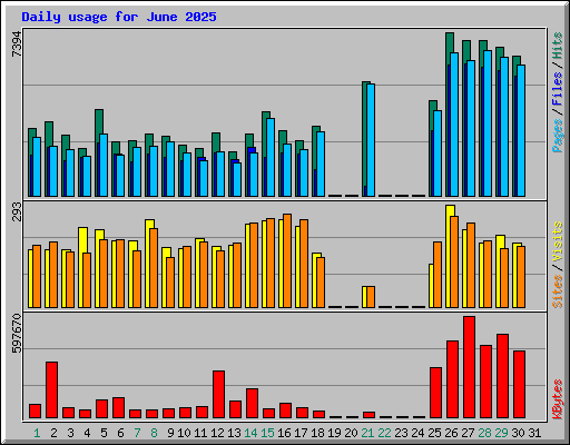 Daily usage for June 2025