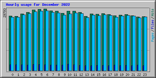 Hourly usage for December 2022