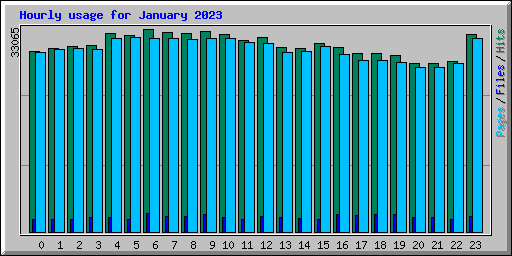 Hourly usage for January 2023