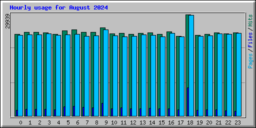 Hourly usage for August 2024