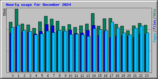 Hourly usage for December 2024