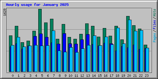 Hourly usage for January 2025