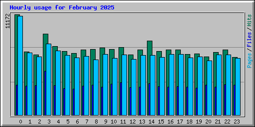 Hourly usage for February 2025