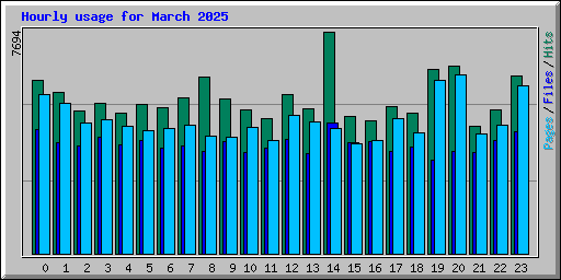 Hourly usage for March 2025