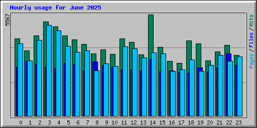 Hourly usage for June 2025