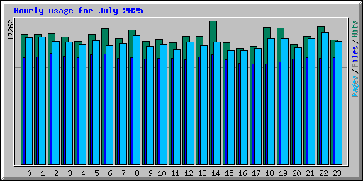 Hourly usage for July 2025