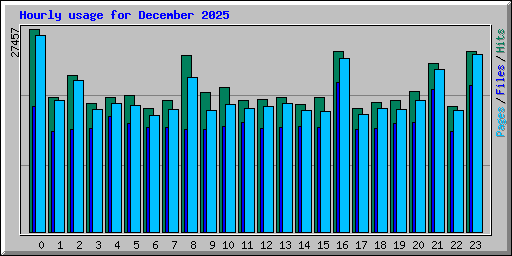 Hourly usage for December 2025