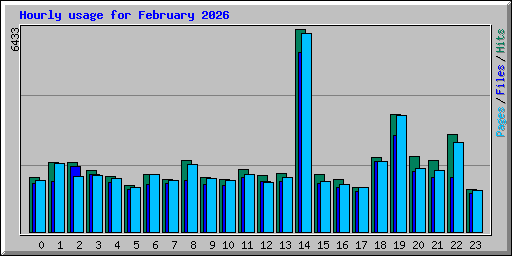 Hourly usage for February 2026