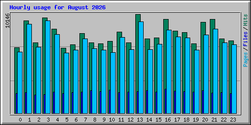 Hourly usage for August 2026